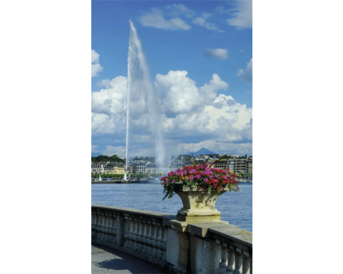 Jardinière avec le lac Léman et le Jet d’eau en arrière-plan