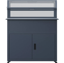 Armoire de jardin avec espace de rangement et fenêtre