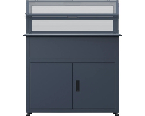 Armoire de jardin avec espace de rangement et fenêtre