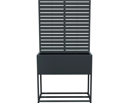 Jardinière surélevée avec treillis pour le jardin