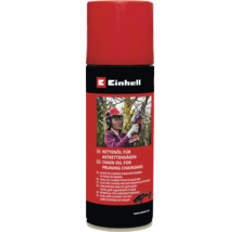 Einhell Kettenöl für Astkettensägen