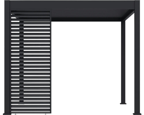 Pergola avec paroi à lamelles