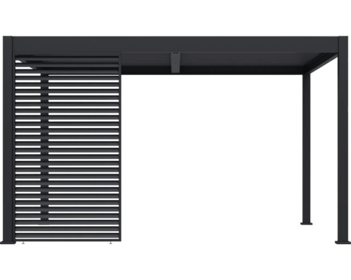 Pergola avec toit à lamelles et paroi à lamelles