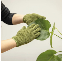 Hände mit Gartenhandschuhen reinigen ein Pflanzenblatt