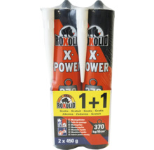 Pack de 2 Roxolid X Power colle de montage, 2 fois 450 grammes
