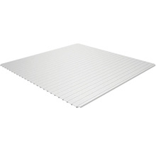 Plaque lumineuse en plastique