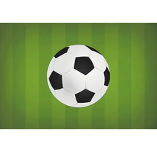 Ballon de foot sur gazon