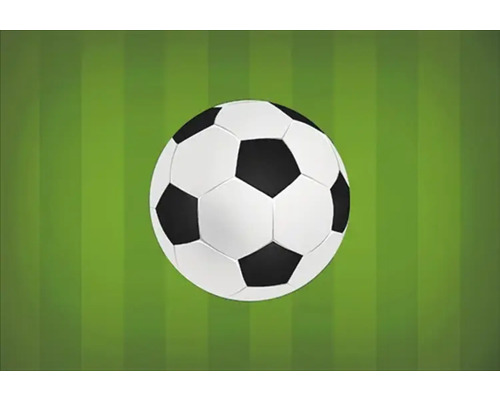 Ballon de foot sur gazon