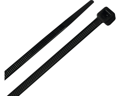 Zwei schwarze Kabelbinder aus Kunststoff