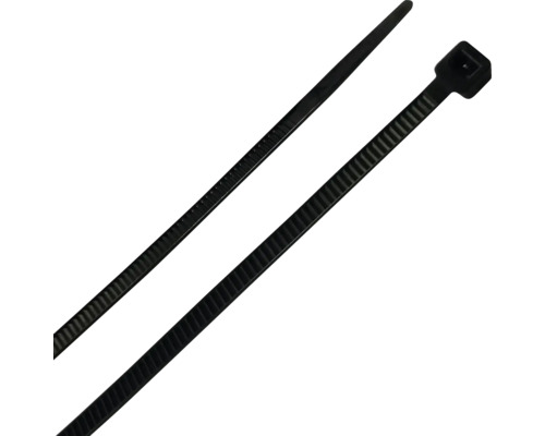 Zwei Kabelbinder aus Kunststoff