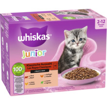 Whiskas Junior Katzennahrung, klassische Auswahl in Soße, geeignet für Kätzchen im Alter von 2 bis 12 Monaten