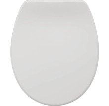 Toilettendeckel aus Kunststoff