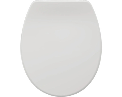 Toilettendeckel aus Kunststoff