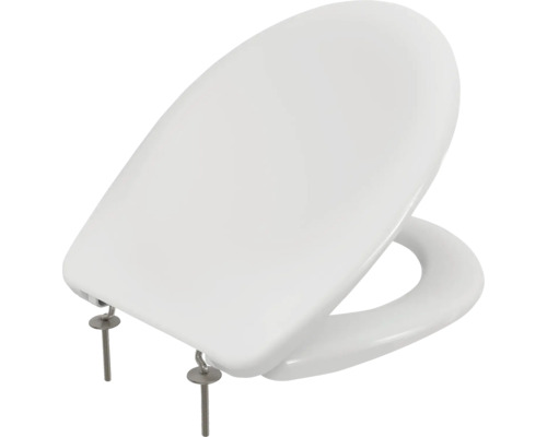 Toilettendeckel aus Sanitärkeramik mit Befestigungsmaterial