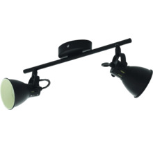 Deckenleuchte mit zwei Strahlern