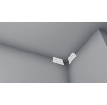 Deux pièces de moulure d'angle dans un angle