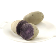 Lila Kartoffeln, eine halbe und eine ganze, auf einem Teller