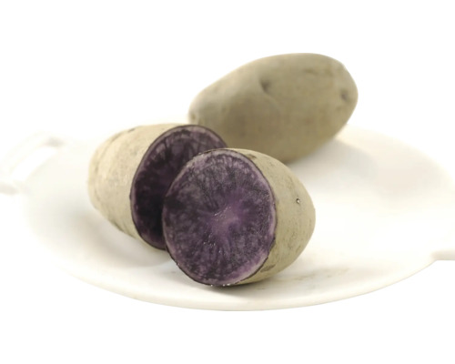 Saatkartoffel Pflanzkartoffel Blaue St. Galler 1 kg Lila Kartoffeln, eine halbe und eine ganze, auf einem Teller