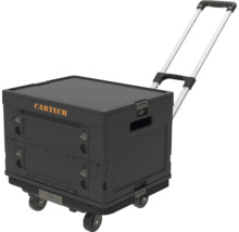 Rollcontainer mit Trolleyfunktion von Cartech