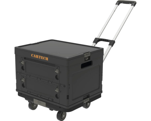 Rollcontainer mit Trolleyfunktion von Cartech
