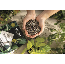 Une poignée de substrat de plantation Lechuza Pon au-dessus d'un emballage et de plantes