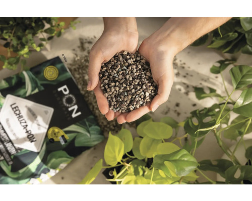 Une poignée de substrat de plantation Lechuza Pon au-dessus d'un emballage et de plantes