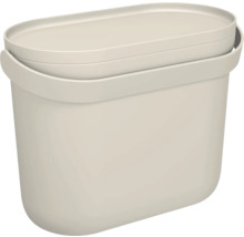 Boîte en plastique beige avec couvercle et poignée de transport.