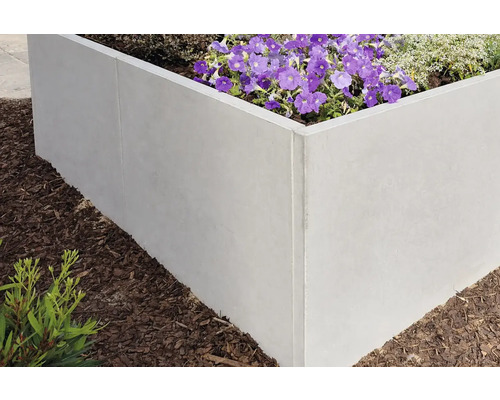 Jardinière surélevée en béton avec plantes fleuries