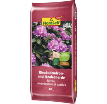 FloraSelf Rhododendron- und Azaleenerde, 40 Liter Sack