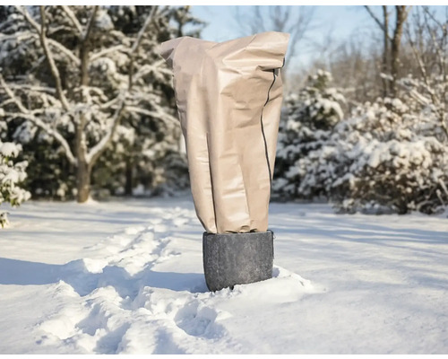 Pflanzentopf mit Winterschutz im verschneiten Garten.