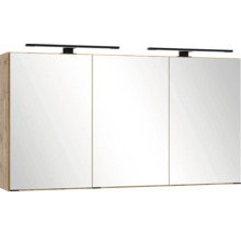 Armoire de toilette à trois portes pour la salle de bains avec corps en bois et deux lampes LED noires.