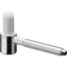 Türangel mit Bolzen und Kunststoffkappe