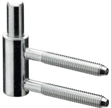 Einschraubbänder mit Bolzen für Türen