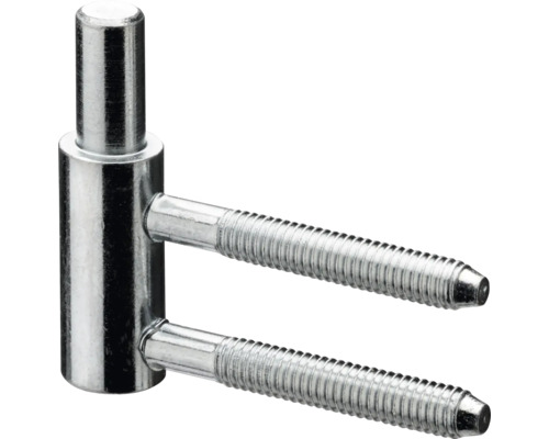 Einschraubbänder mit Bolzen für Türen