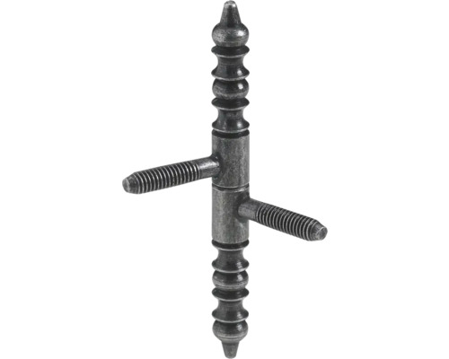 Charnière avec broche à visser