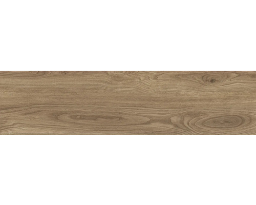 MIRAVA Feinsteinzeug Wand- und Bodenfliese SKIEN oak BxLxS 29.8 x