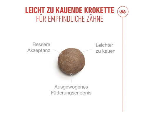 Einzelne Krokette für Hunde mit empfindlichen Zähnen