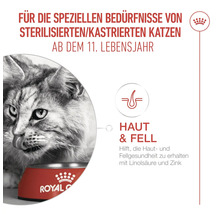 Chat mangeant dans une gamelle, nourriture pour chats stérilisés/castrés à partir de 11 ans pour la peau et le pelage