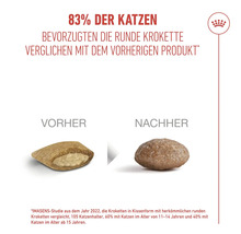 Darstellung von Katzenfutter vor und nach der Rezepturänderung: Kissenförmiges Futter und runde Krokette