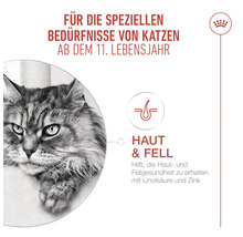 Katze ab dem elften Lebensjahr für spezielle Bedürfnisse