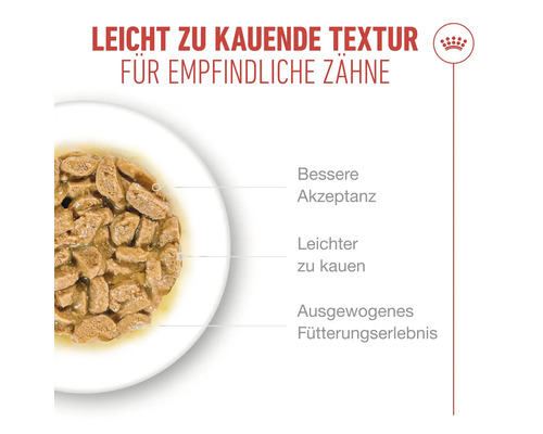 Nassfutter mit weicher Textur für Katzen mit empfindlichen Zähnen in einer Schale