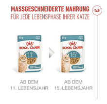 Royal Canin Katzenfutter für ältere Katzen ab 11 und 15 Jahren