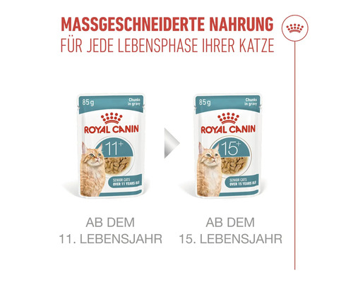Royal Canin Katzenfutter für ältere Katzen ab 11 und 15 Jahren
