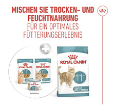 Royal Canin Katzenfutter für ältere Katzen über 11 Jahre als Trocken- und Feuchtfutter