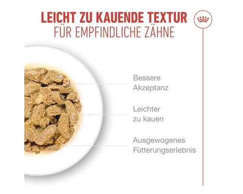 Katzenfutter mit leicht zu kauender Textur für empfindliche Zähne in einem Teller