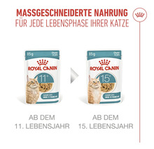 Zwei Packungen Royal Canin Katzenfutter, geeignet ab dem 11. und 15. Lebensjahr der Katze
