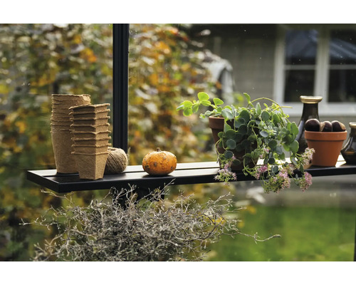 Scène décorative avec pots de fleurs, citrouille et plantes sur une étagère.