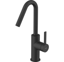 Avital Küchenarmatur mit hohem Auslauf