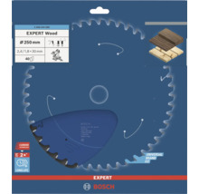 Lame de scie à bois Bosch Expert d'un diamètre de 250 millimètres