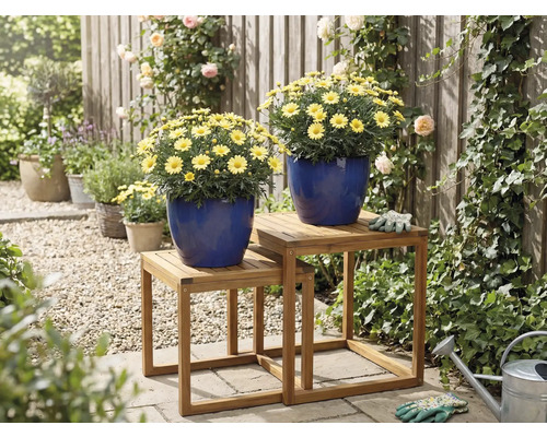 Vue de jardin avec des marguerites en pot sur une table à plantes